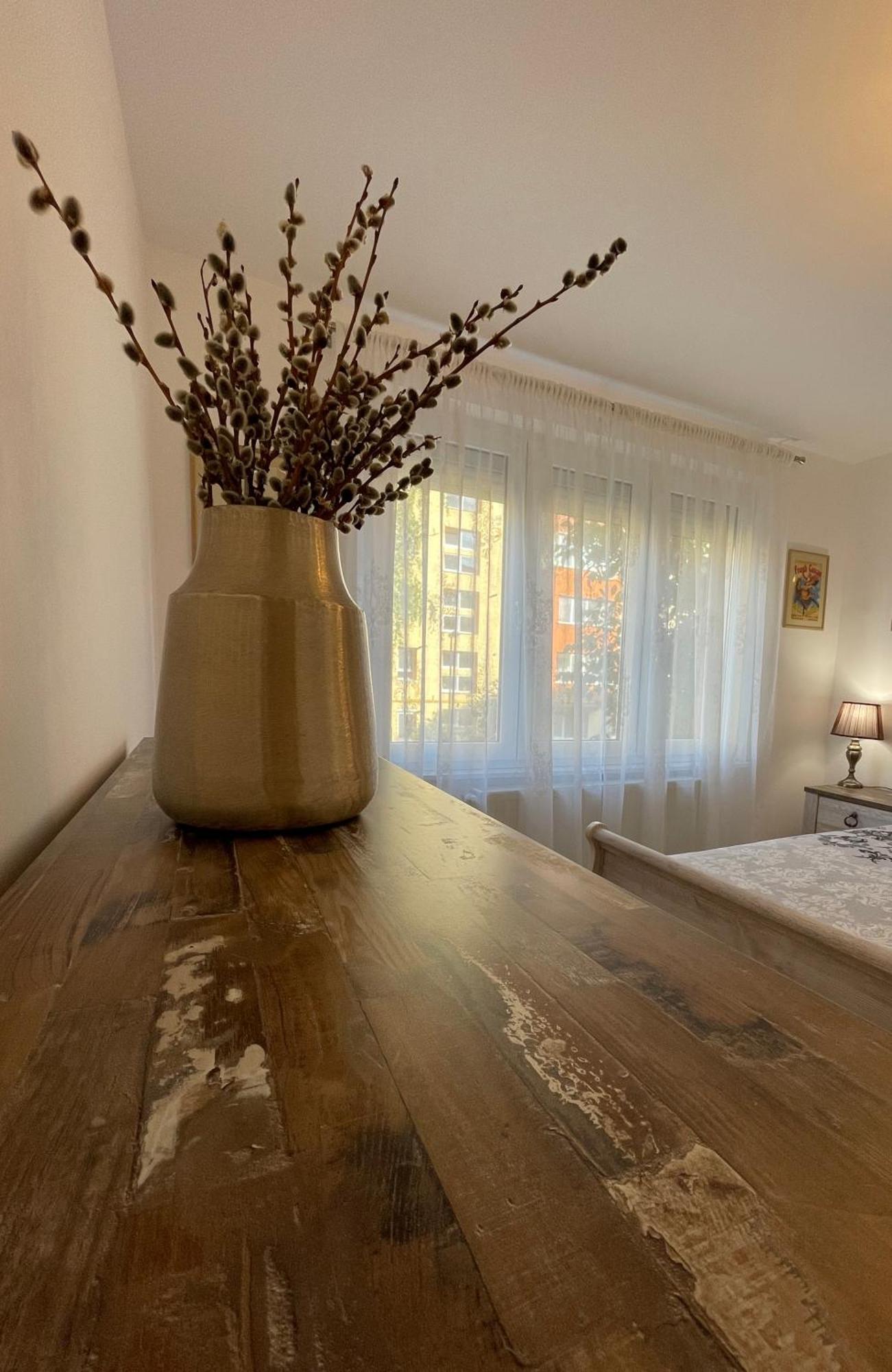 2_Traveler'S Retreat Apartment Brasov Ngoại thất bức ảnh